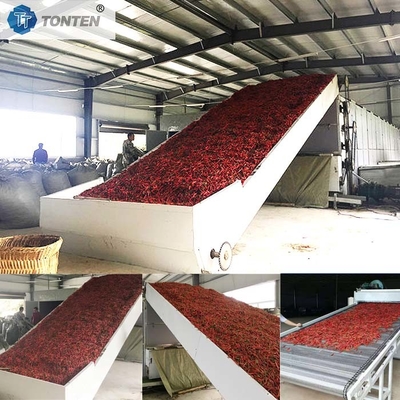 Chili Chrysanthemum Cassava Pengeringan Sabuk Conveyor Pengering Mesin