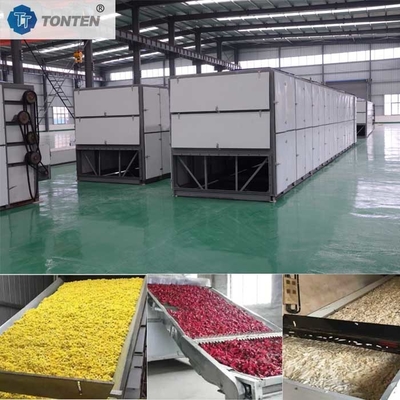 Litchi Apple Nanas Grape Belt Pengering Mesin Dehydrator Pengering