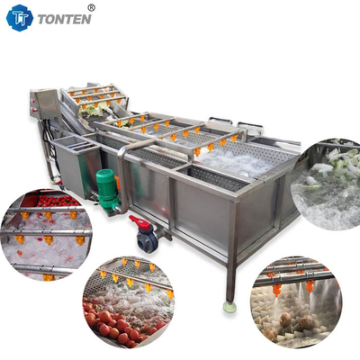 Mesin pembersih makanan 440V Mesin cuci sayuran industri untuk zaitun alpukat