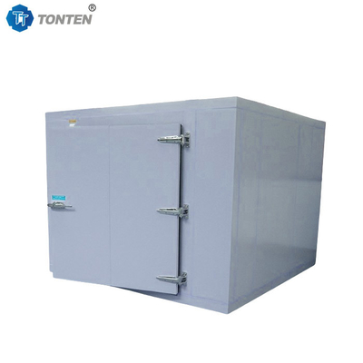 Kulkas Buah Seafood Ledakan Kamar Dingin Freezer penyimpanan 20ft 40ft
