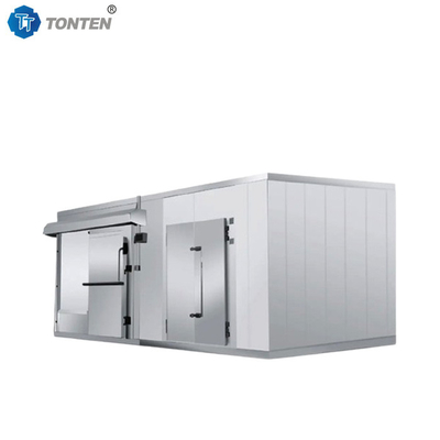 Kulkas Buah Seafood Ledakan Kamar Dingin Freezer penyimpanan 20ft 40ft